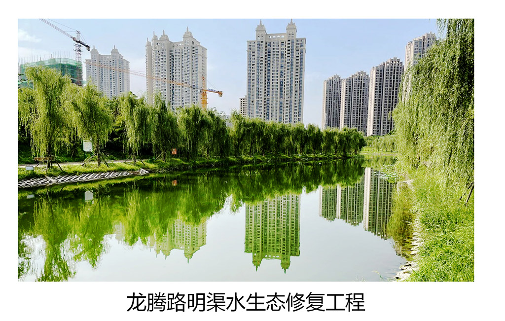 项目图片_05.jpg