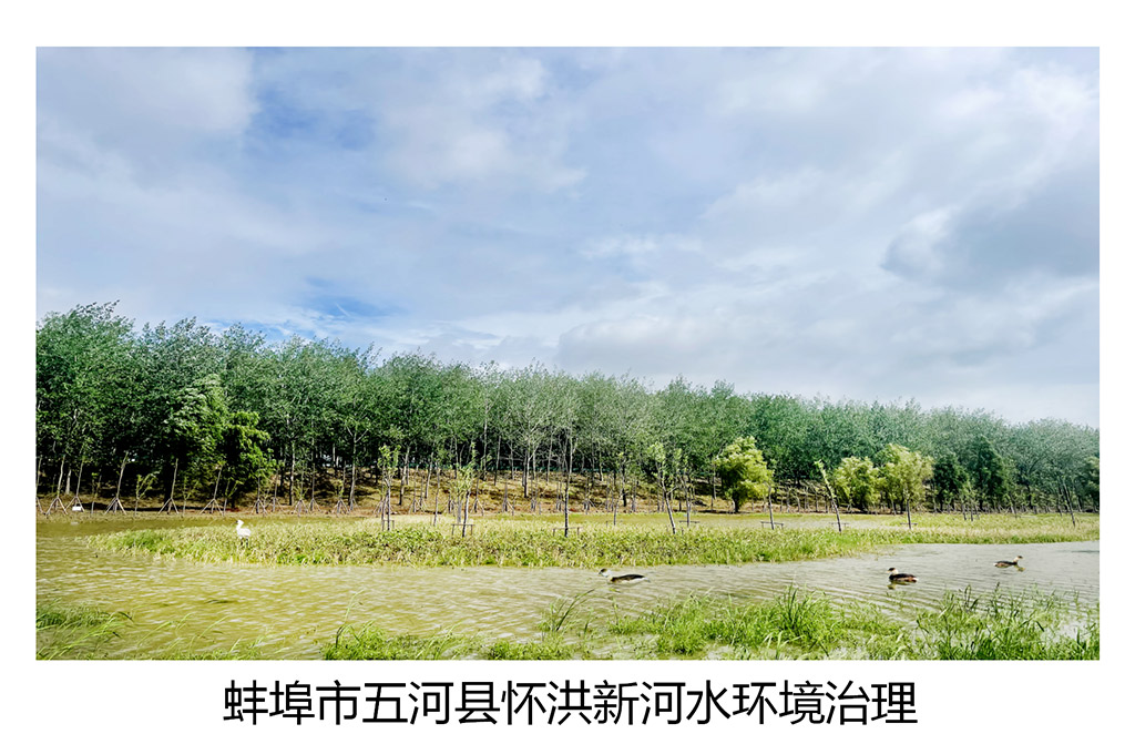 项目图片_02.jpg