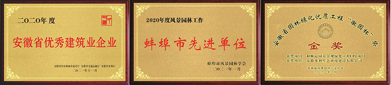 图片9.jpg