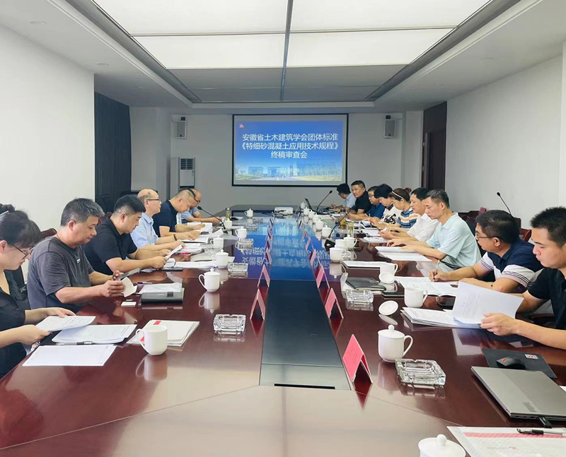 特细砂终稿审查会照片-8.11_副本.jpg