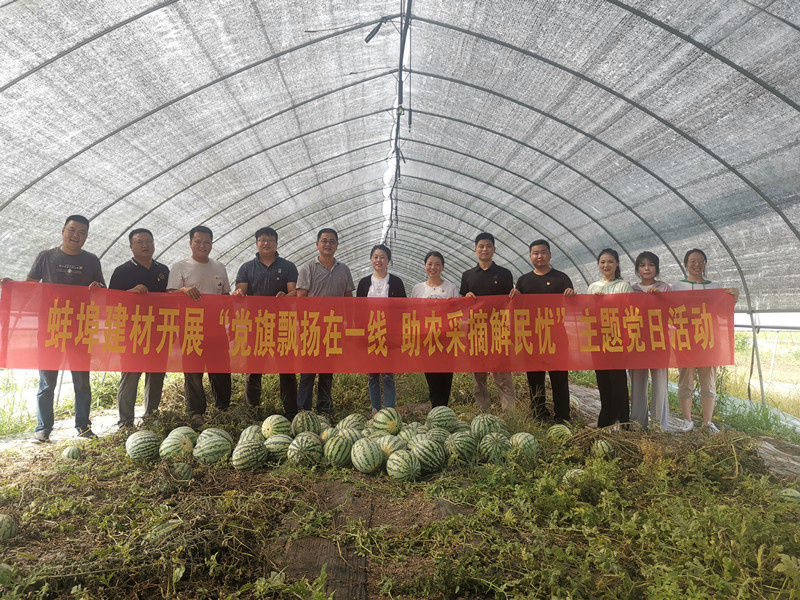 我为群众办实事｜蚌埠建材开展“党旗飘扬在一线 助农采摘解民忧”主题党日活动-8.18.jpg