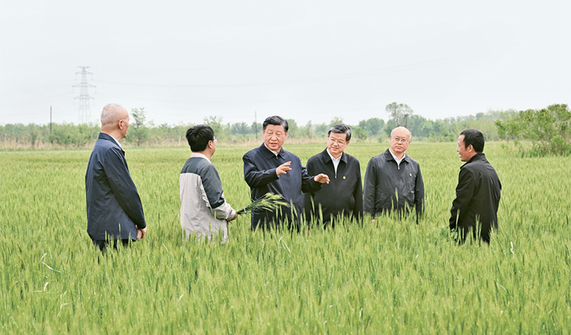 2023年5月11日至12日，，，，，，中共中央总书记、国家主席、中央军委主席习近平在河北考察，，，，，，并主持召开深入推进京津冀协同发展座谈会。。。。。。。。这是11日上午，，，，，，习近平在沧州市黄骅市旧城镇仙庄片区旱碱地麦田考察时，，，，，，同种植户、农技专家亲切交流。。。。。。。。 新华社记者 李学仁/摄