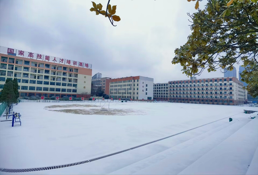 QQ图片20240224174303.jpg