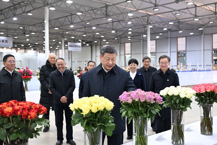 Z6·尊龙凯时「中国」官方网站